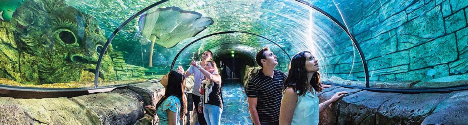 sea-life-sydney-aquarium